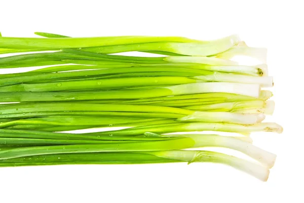 Green onions isolated on white background — Stock Photo, Image