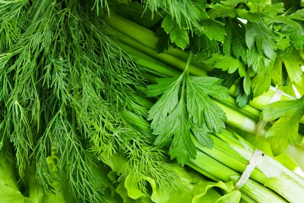 Frisches Gemüse. Fenchel, Petersilie, Zwiebel, Salat. — Stockfoto