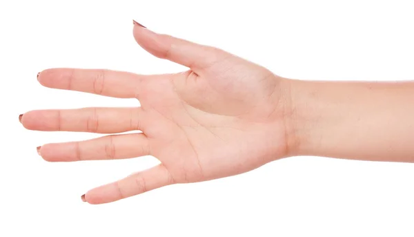 Beyaz bir arka plan üzerinde izole el.