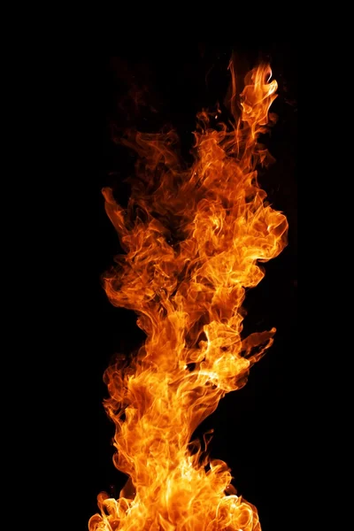 Fire on a black background — Stock Photo, Image