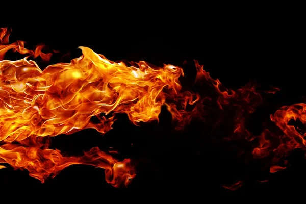 Silueta mystické zvíře v plamenech — Stock fotografie