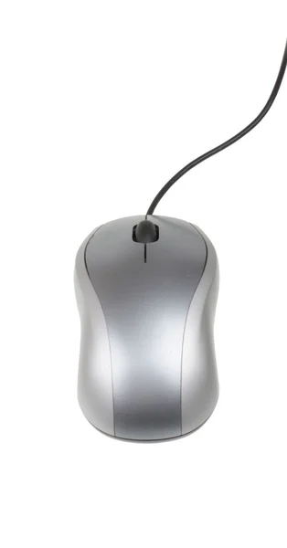 Mouse isolato su sfondo bianco — Foto Stock