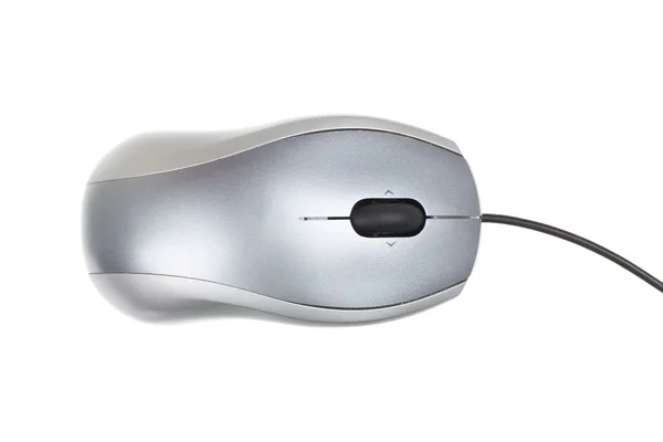 Mouse isolato su sfondo bianco — Foto Stock