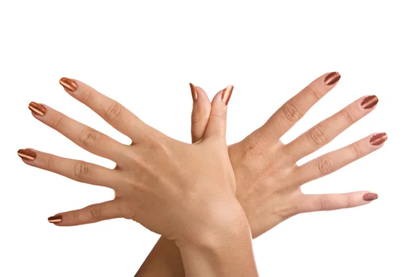 Hands isolated on a white background. Stock Picture