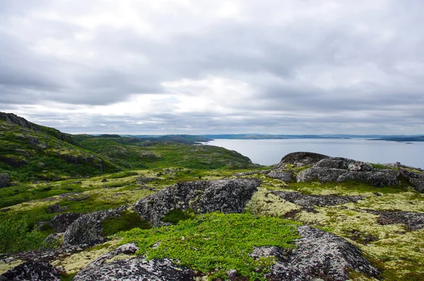 Paisaje de la tundra polar de verano — Foto de Stock