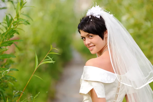 Retrato de noiva morena bonita — Fotografia de Stock