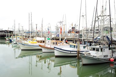 bir san francisco liman tekneler