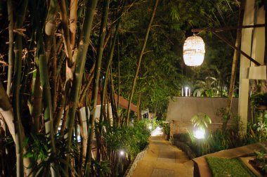 bahçede bir yürüyüş yolu