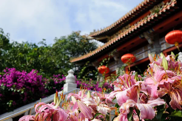 Rózsaszín virágok buddhista templom közelében — Stock Fotó