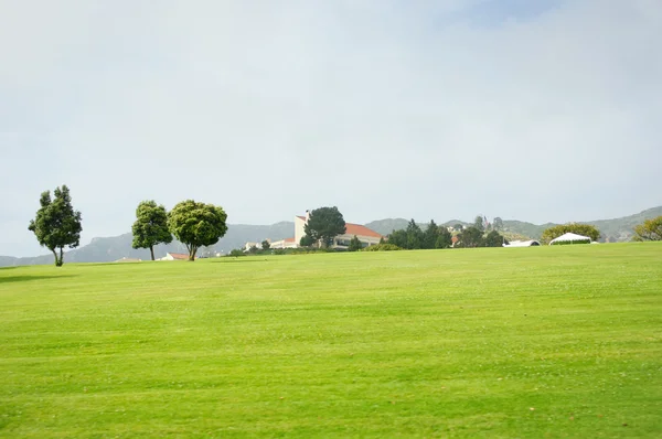 Bellissimo prato in estate — Foto Stock