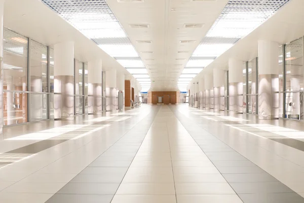 sheremetevo Havaalanı