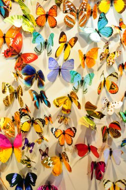 Kelebekler arka plan