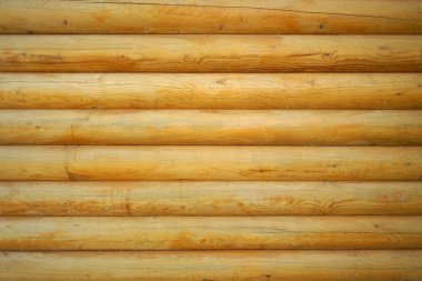 wooden logs background