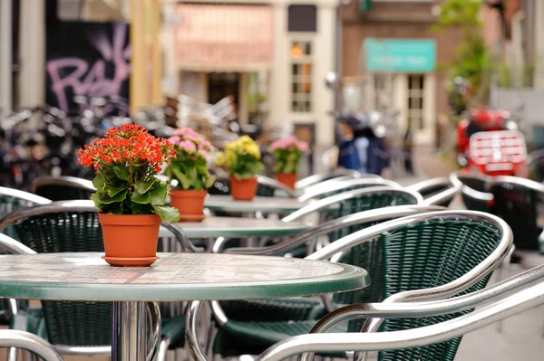 Café — Fotografia de Stock