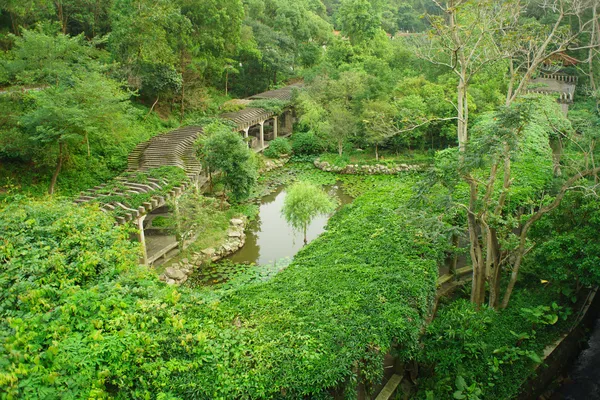 Park i shenzhen — Stockfoto