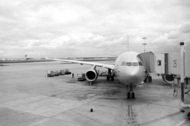 Aeroflot Moskova Havaalanı'nda airbus a330