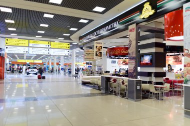 Sheremetyevo Havalimanı İç