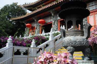 Budist tapınağı yakınında pembe çiçekler