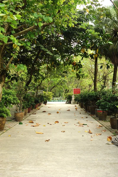 Parque perto de templo budista — Fotografia de Stock