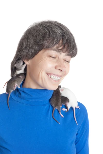 Rats in a hair — Stock Photo, Image