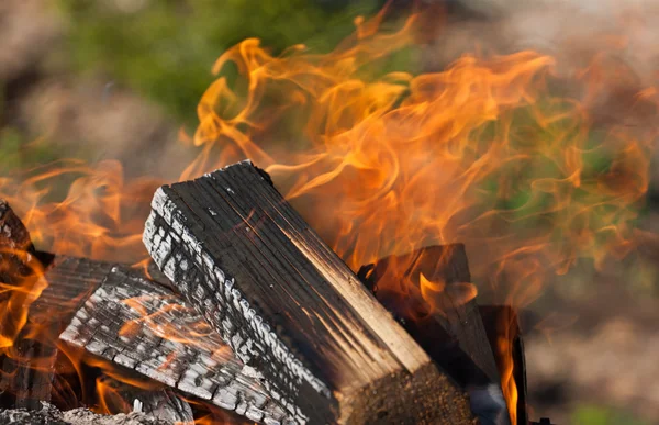 Firewood for a shish kebab — Stock Photo, Image