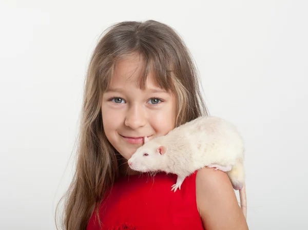 Fille avec un rat domestique blanc — Photo