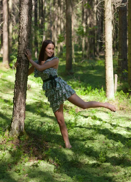 Dívka v létě jehličnaté dřevo — Stock fotografie