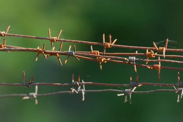 Rusty barbed wire — Stock Photo, Image