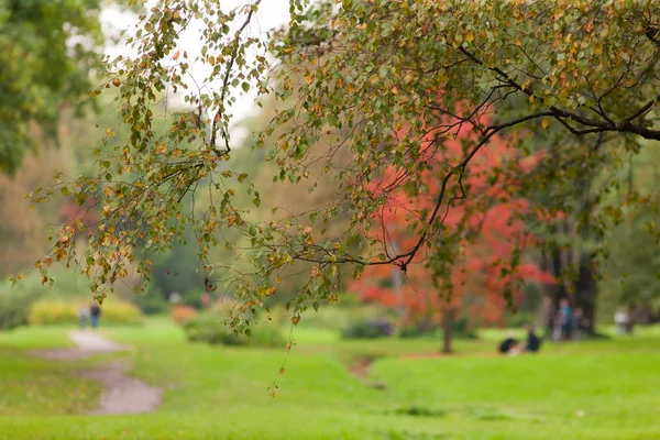 En el parque de otoño —  Fotos de Stock