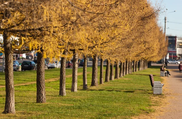 Viale della città — Foto Stock