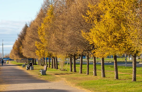 Avenue de l'automne — Photo