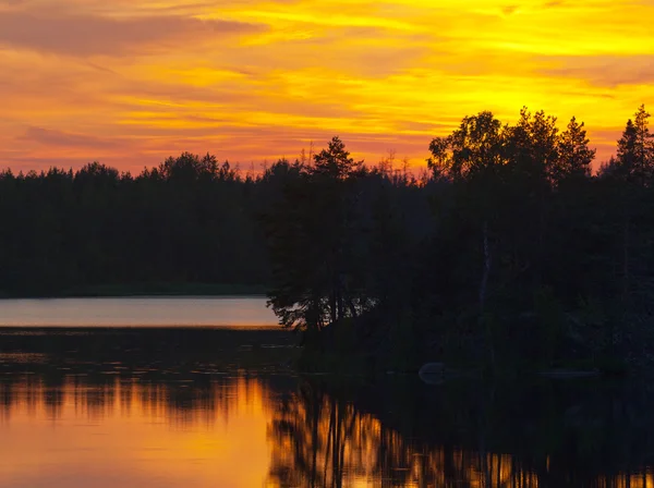 Dřevo jezero po západu slunce — Stock fotografie