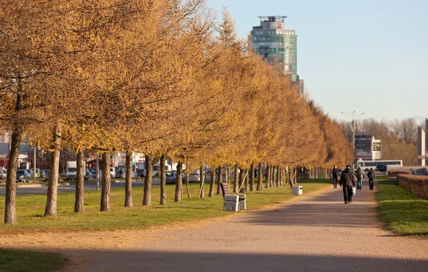 Herbst in der Stadt — Stockfoto