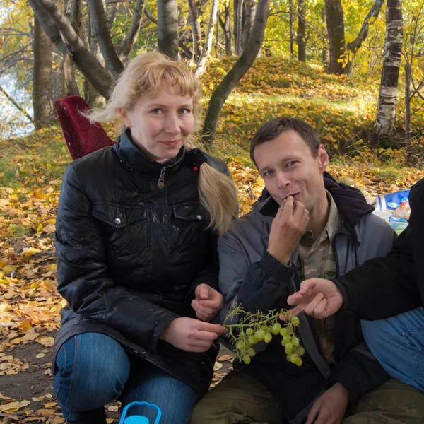 Podzim piknik — Stock fotografie