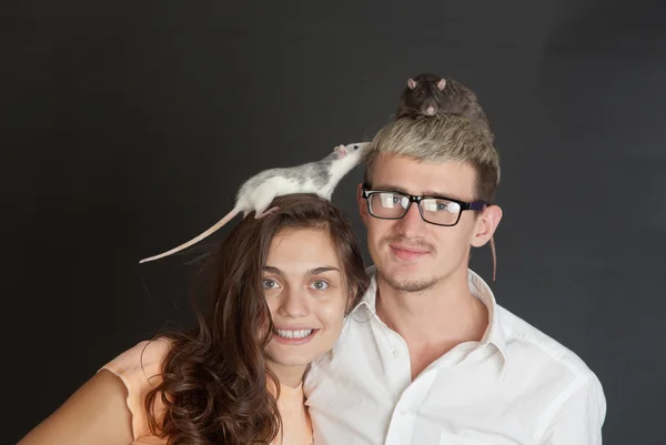 Råttor på huvuden — Stockfoto