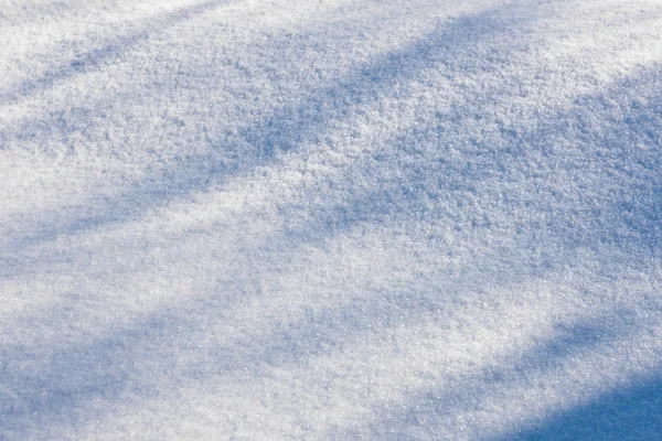 Shadows on the snow — Stock Photo, Image