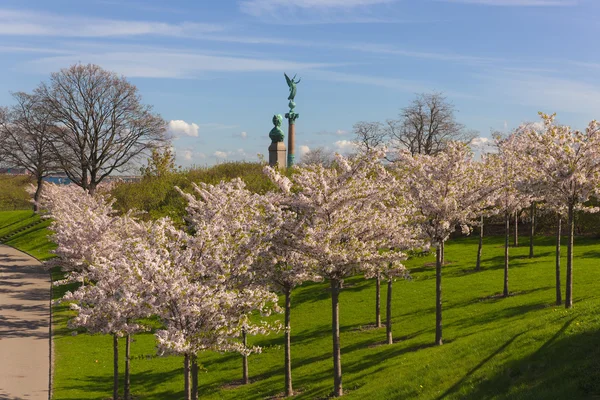 Jarní park — Stock fotografie