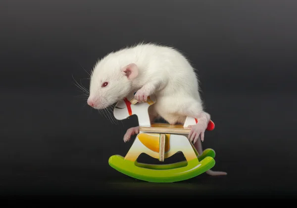 Mały szczur na koniu zabawka — Zdjęcie stockowe