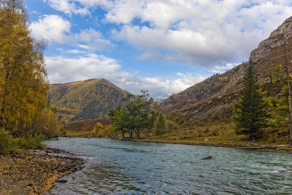 Rivière de montagne — Photo