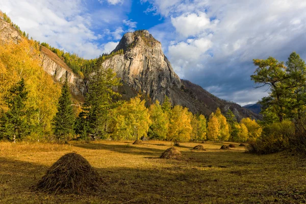 Zonnige vallei — Stockfoto