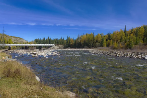 Mountain river — Stock Photo, Image