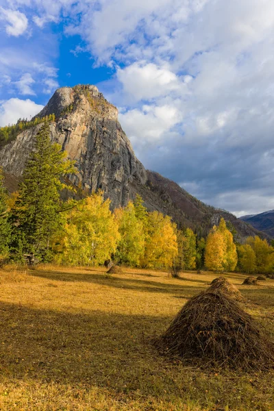 Sonnige Herbstlandschaft — Stockfoto
