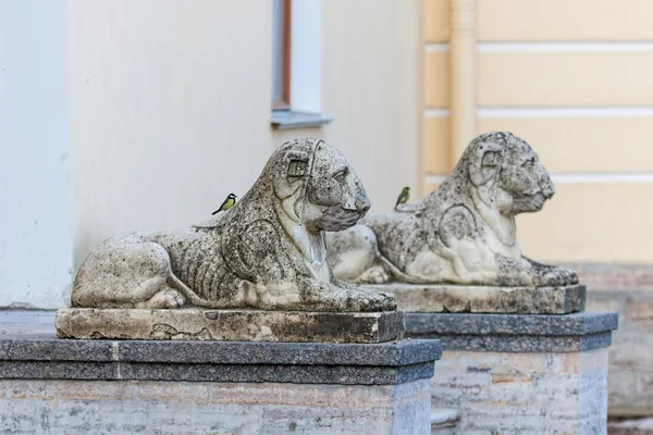 Alte Löwenskulpturen — Stockfoto