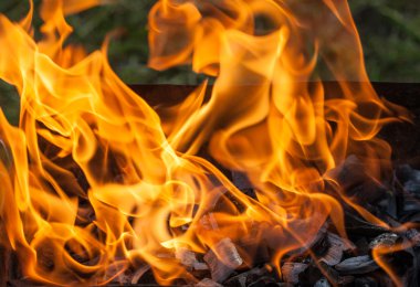 Yangın yakın çekim