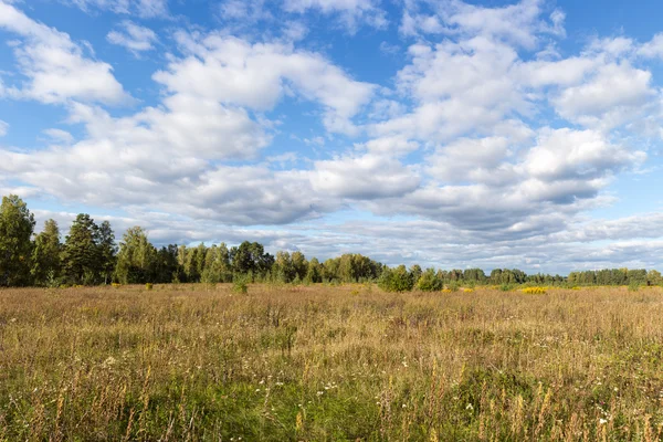 Rural landscape — Stock Photo, Image