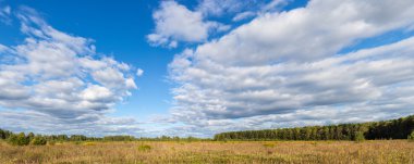 Bulutlar tarlanın üzerinde
