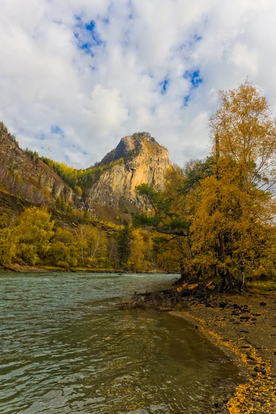 Autunno fiume di montagna — Foto Stock