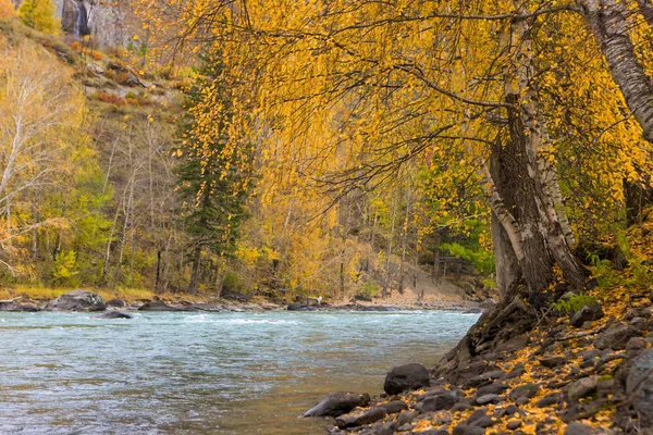 Herfst rivier — Stockfoto