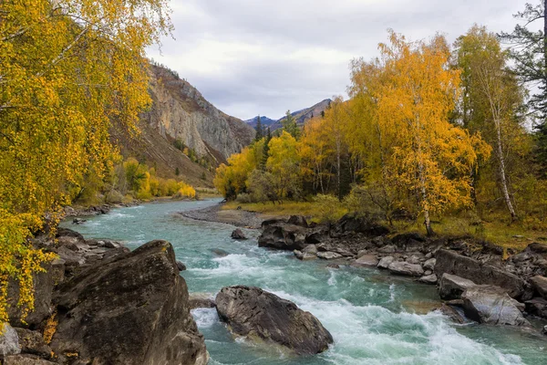 Herbstlicher Gebirgsfluss — Stockfoto