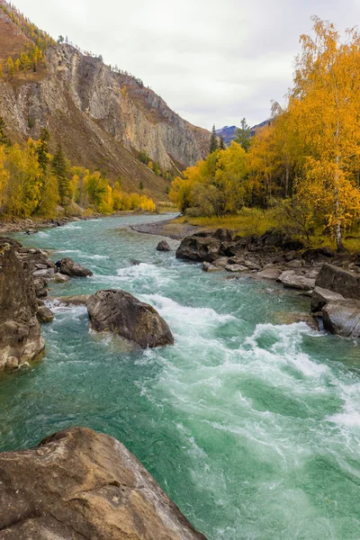 Fiume di montagna con rocce — Foto Stock